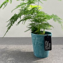 마흘 아스파라거스 나누스 화분 세트, 05 아트스톤 친환경 플라스틱 화분(그레이프), 1개