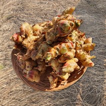 농랑부랑 2022년 수확 서산 햇 흙 생강 3kg 5kg 1박스, 서산 흙생강 1kg X 1박스