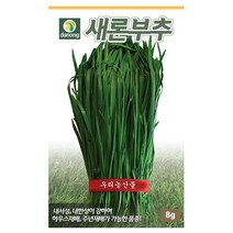 새론부추씨앗 400g