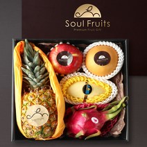 프리미엄 혼합과일 선물세트1호-A 2.6kg