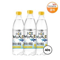 아이스웨일 레몬라임 탄산음료, 40개, 500ml