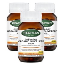 호주 톰슨 Thompsons Olive Leaf 원어데이 올리브잎 60캡슐, 3팩