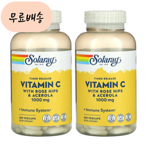 비타민C 로즈힙 아세로라 Solaray 1000m.g 250배지개x2병, 2개, 250정, 250개