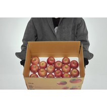 청년농부 못난이 부사사과 5KG, 2kg 미니