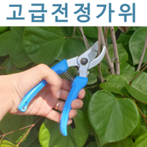 수입 전정가위 다목적가위 원예가위 전지가위 스테인레스가위