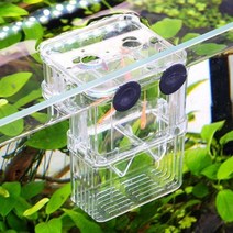 부화통 구피분양 구피키우기 금붕어키우기 구피먹이 물고기키우기 산란통 수족관용품 물고기용품 KK417, 부화통어항/소형