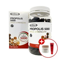 마더네스트 호주 프로폴리스 5000 250캡슐X3개 목 에좋은영양제 포로폴리스 항산화건강 솔루션, 단품, 단품