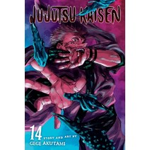 Jujutsu Kaisen Vol. 14 14, Viz Media, English, 9781974725328