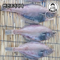 [농사임당] 삼천포 반건조 가자미 남해 자연산(급랭) 25cm이상 5마리 850g