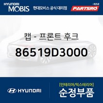 캡-프론트 후크 (86519D3000)-현대모비스 부품 공식대리점 온라인쇼핑몰 파츠로 투싼