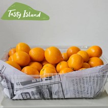 [우체국쇼핑] [테이스티-오픈특가]제주 금귤 낑깡 5kg 왕대과, 상세 설명 참조