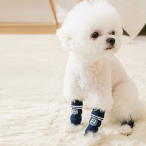 런웨이멍멍 강아지 발토시 당일발송 댕댕이 슬개골보호 보온 토시, 남색