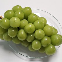 고당도 샤인머스켓 2kg 4kg