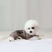 강아지올인원 츄리닝 트레이닝복 강아지옷올인원, 단품