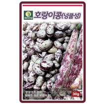 호랑이콩(강낭콩-넝쿨성)씨앗 30g 텃밭작물 가정원예 식물기르기 주말농장 콩곡물종자