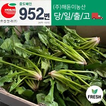 <해돋이농산> 명품 남해 시금치 남해초 노지시금치 1kg 2kg 4kg 10kg, 남해시금치1kg