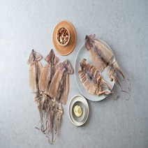 동해 마른오징어 5미 술안주 마른안주 5미 어반
