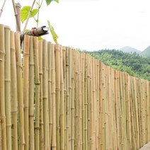 담장울타리 대나무울타리 나무울타리 울타리휀스, 백죽은 길이 2m x 높이 1m
