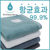 송월타월 항균무지40 30수 150g 호텔수건, 10장, 진하늘