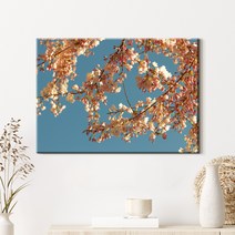 더 아트 컴퍼니 감성 꽃그림 사진 액자 33종 1-33, 30. 벚꽃 엔딩