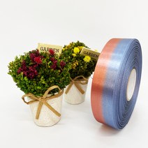 포장 리본 끈 제이제이리본 이색주자 15mm 25mm 40mm 28컬러 ( 길이 45M ) 공단리본, TS13