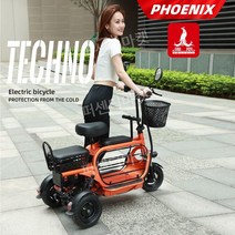 2인승 전기자전거 접이식 전동 48V 출퇴근 세발 유아동승 스쿠터 장보기용 자토바이, 소형 탱크 / 800W 차동 모터