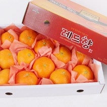 다농이네 새콤달콤 돌담 제주 레드향 선물용 2.5kg 중과(9-12과 내외), 1