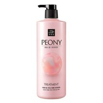 미쟝센 펄샤이닝 리페어 트리트먼트 피오니향 1000ml 2개