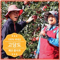 예산사과 선물세트 세척 꿀사과 사과5kg 10kg 부사 미시마 아침 맛있는 한박스 껍질째, 정과(선물포장) 5kg 중(14~16과)