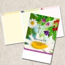 주보용지 3단 주보 교회 예배 주보인쇄 기성 디자인 칼라 청년부 주보 제작 기독교용품, EW-48