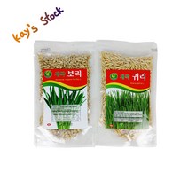 보리 씨앗 귀리 씨앗 새싹 2종 종자 홈 가드닝 케이스스탁, 귀리(5봉)