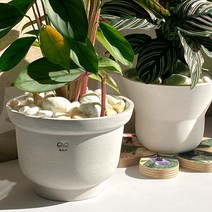 [에코팟] 친환경 화분 사무실 홈가드닝 인테리어 식물 꽃 화분 업사이클링 디자인 화분, 벨(마블링)