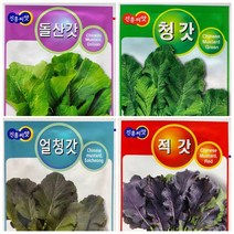 갓씨앗2.000립 청갓 적갓 얼청갓 돌산갓, 돌산갓20g
