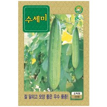 덩굴성꽃씨 씨앗] 수세미 재래종1 수세미 500립