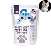 천연재료 응고형모래 먼지안나는 고양 단반려양품 봄