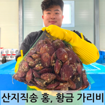 남해안 청정해역 통영 당일조업 산지직송 생물 명품 홍가리비 황금가리비, 홍 가리비 2kg (60-50미)