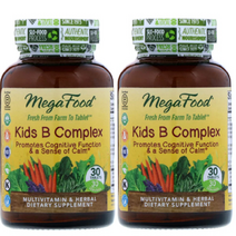 MegaFood 메가푸드 키즈 비타민B Kids 30정 2팩, 1, 1