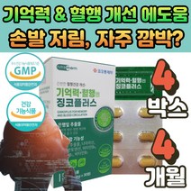 식 약 처인증 기억력 혈액순환 도움 고함량 징코 플러스 혈행개선 영양제 뇌 두뇌 다리 손 발 저림 에좋은 은행잎 추출물 빌로바 메디 감퇴 떨림 중년 여성 부모님 명절 선물, 04. 500mg *30정, 4개
