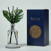 레이나퍼퓸 프리미엄 몬스테라 플라워디퓨저 150ml 2개, 블랙병:화이트머스크