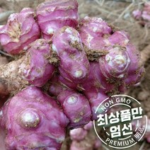 ST 건돼지감자 친환경 국산 무농약 말린 500g, 단품, 단품