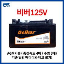 KR모터스 비버 125 V DLX(DELUXE) 델코 AGM 배터리