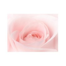 신혼부부 침실 화사한 장미 액자 대 34평거실 결혼 꽃, 알루미늄액자 (골드)