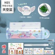 필통 다육이 플라스틱 원통 다육이 식물 키우기 초등학생 어린이, B개