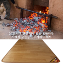 절절끓는 2023년형 한일 웰빙 참숯 온돌마루 사계절 구들장 전기카페트 매트, 2)단일난방 대형(140X183cm)