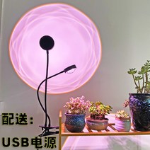 식물생장등 Xilang 전체 스펙트럼 LED 식물 성장 램프 보충 빛 색상 향상 디밍 타이밍 USB 클립 꽃 분재 가정용스마트팜, 1. 2개의 광학 렌즈가 있는 4개의 전체 스펙트럼 식