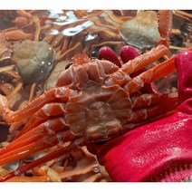[산지직송]울진 자연산 수율보장 80% 수율 구룡포 홍게 홍개 홍게찜 홍개찜 주문진 후포항 동해 강릉 대게찜 대개찜 포항대게 포항대개 제이블릭 제철홍게 울진 후포리 죽도시장 택배, 수율 80% 이상(3KG)