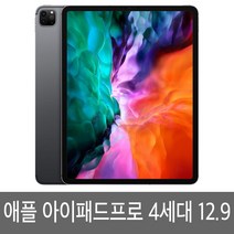 아이패드 프로 4세대 12.9인치 WiFi/LTE 셀룰러 정품, 128GB, WiFi