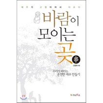 바람이 모이는 곶:우리가 바라는 온전한 제주 만들기 | 제주가 고향이어서 아프다, 가나북스, 고영애 저