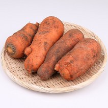 못난이 햇당근 2kg 팔팔마켓 국산 생 흙당근, kg
