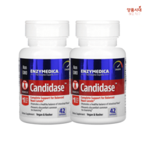 엔자이메디카 Enzymedica 캔디다스 셀룰라 프로테아제 세제 테라 블렌드 캡슐 42 84 120정, 42정
